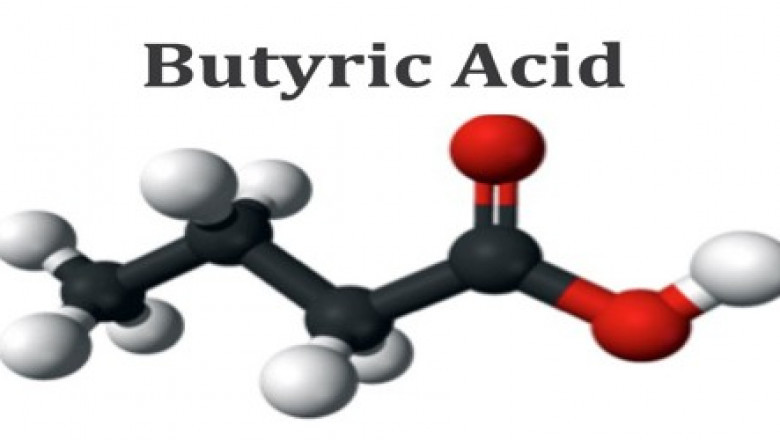 The Global Butyric Acid Market: Shares, Sizes, Growth, Opportunities, And Forecasts From 2022 To 2028