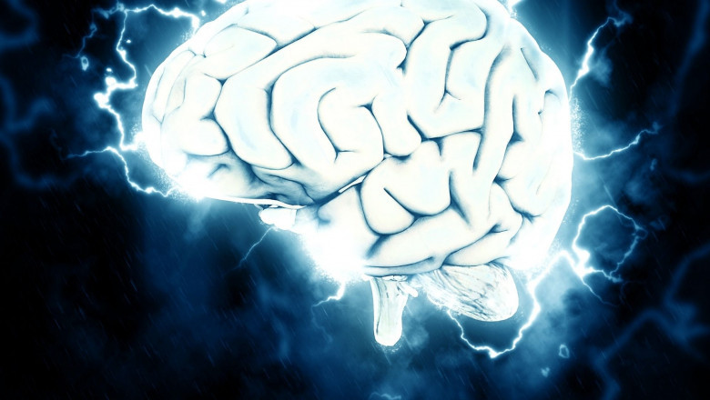 How to Fix Your Brain