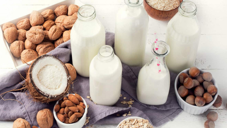 Plant Based Dairy Alternative are likely to Remain Popular for Many years