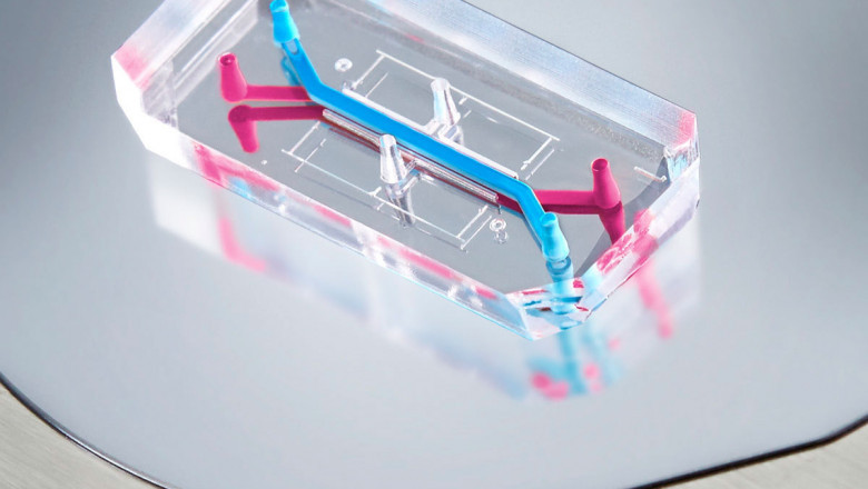 The technology of Organ on a Chip is being developed to test drugs and treatments without using live animals