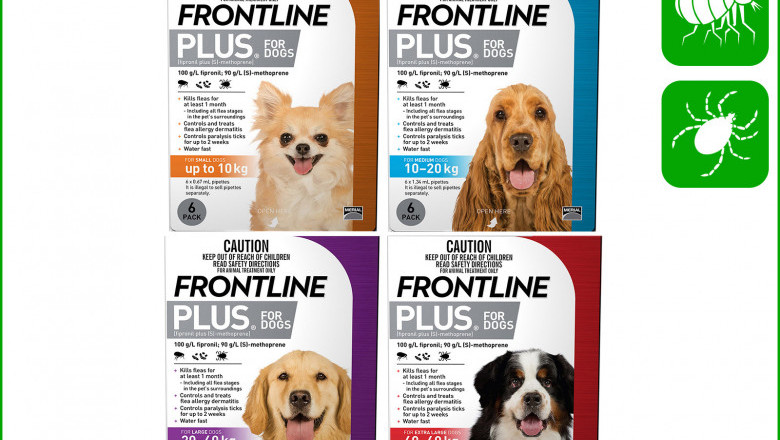 Buy Frontline Plus for Dogs to Control and Treat Flea Ticks