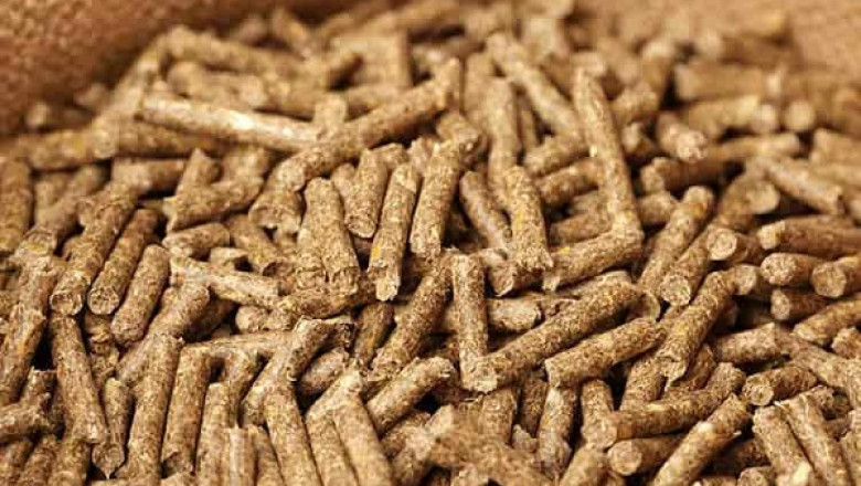 Global Cattle Feed Market is Projected to reach USD 709.62 billion by 2028 at a CAGR of 4.82%