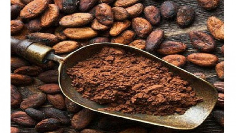 Global Cocoa Bean Extract Market Size Estimated to Reach USD 16.9 Bn By 2028, Grow at a CAGR 7.1%