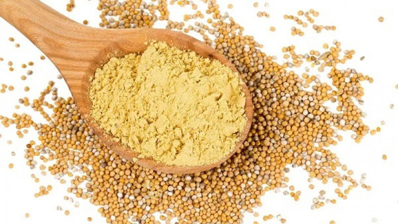Global Mustard Flour Market Size 2022 Growth Rate, Business Module, Regional Analysis and Forecast by 2028