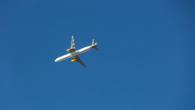 How do I talk to a live person in Hawaiian Airlines?