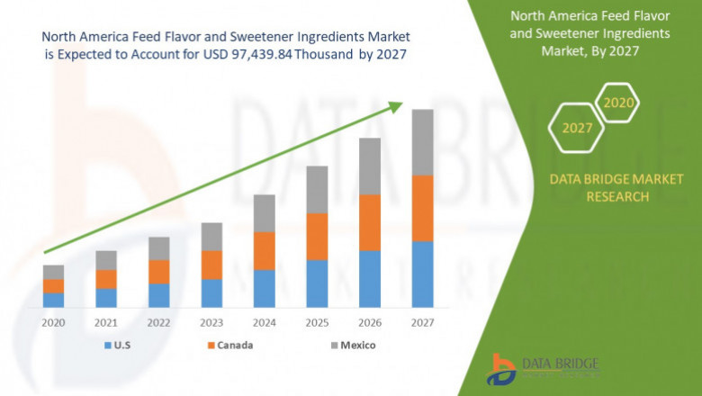 North America Flavor and Sweetener Ingredients Market, Trends And Forecast To 2028
