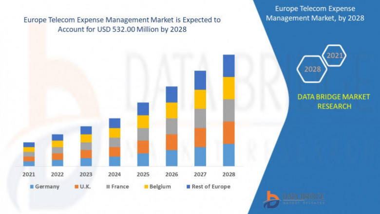 Europe Telecom Expense Market Industry Application