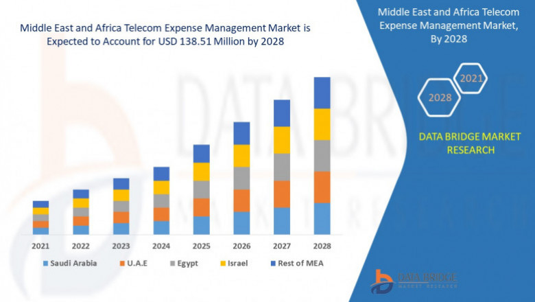 Middle East and Africa Telecom Expense Management Market Industry Keyplayer