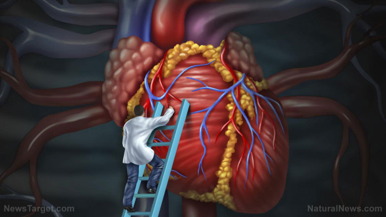 The use of cardiovascular (CV) drugs is used to treat a variety of cardiovascular diseases