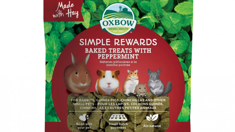 Buy Oxbow Peppermint Treats Online | DiscountPetCare