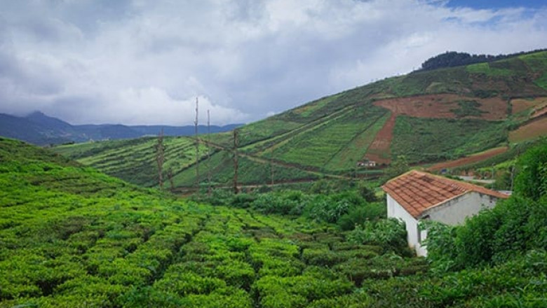 Coorg - More Than A Hill Station, It's A Way Of Life