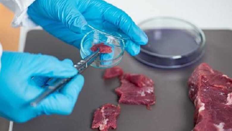 Global Meat Speciation Testing Market Size is Expected to reach USD 2165.6 million by 2028 at a CAGR 6.6%
