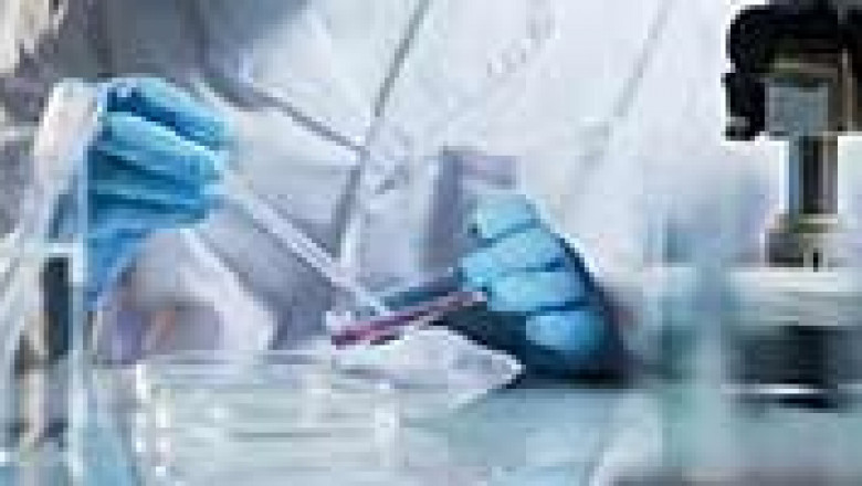 The Future of Cell Expansion Market - Analysis | Trends and Growth