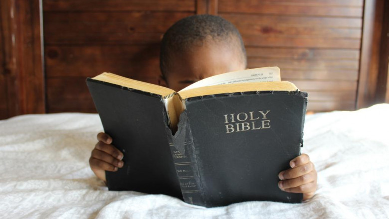 the makria mplouza gia kolan case study youll never forget