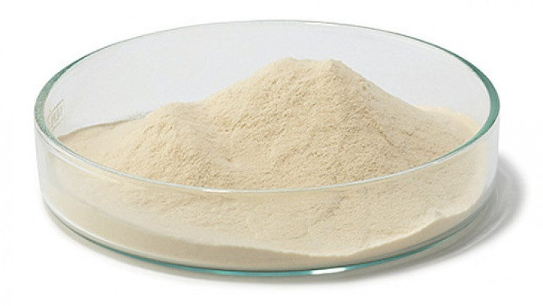 Global Casein Peptone Market is Expected to Grow at a CAGR of 4%