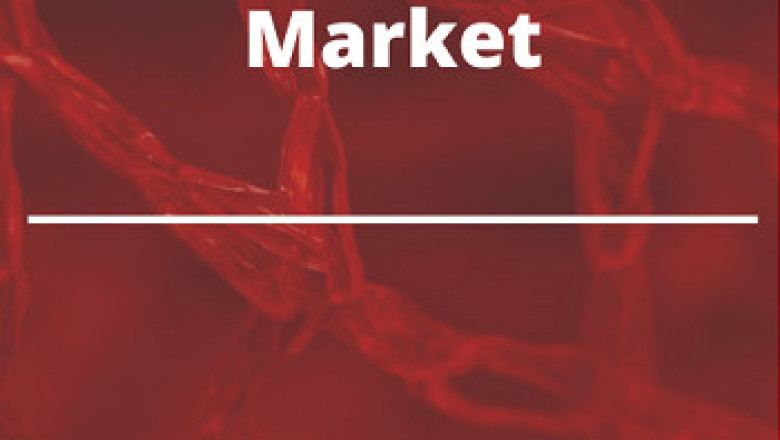 Nano Cellulose: The Sustainable and Eco-Friendly Alternative