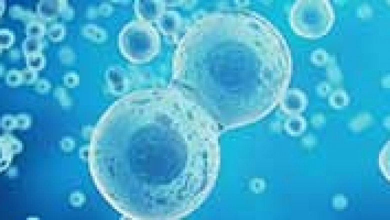 The Future of Cell & Gene Therapy Manufacturing Services Market