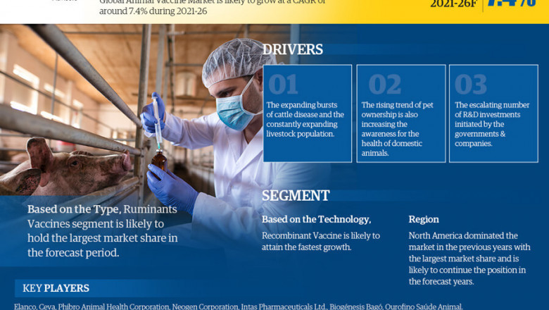 Animal Vaccine Market Research for 2021-26 providing information on Key Players, Growth Drivers and Industry challenges