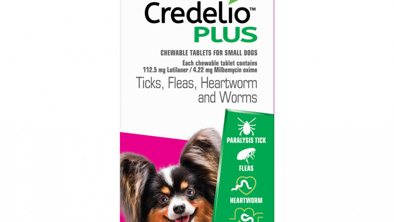 Credelio Plus | Fleas, Worms & Heartworm | DiscountPetCare