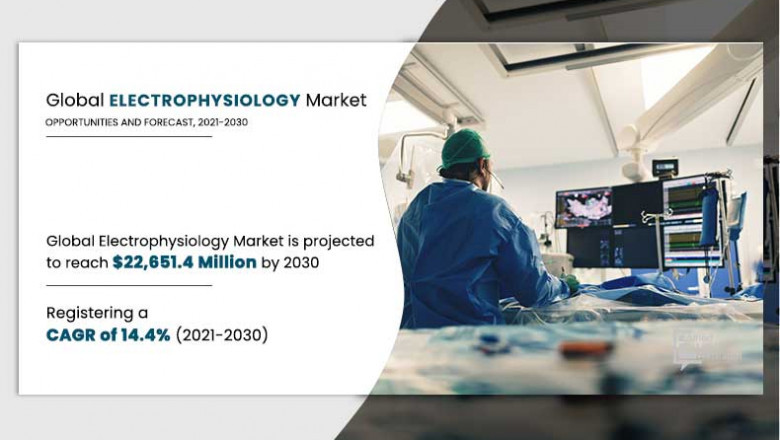 Electrophysiology (EP) Market Size, Company Revenue Share, Key Drivers, and Trend Analysis, 2030