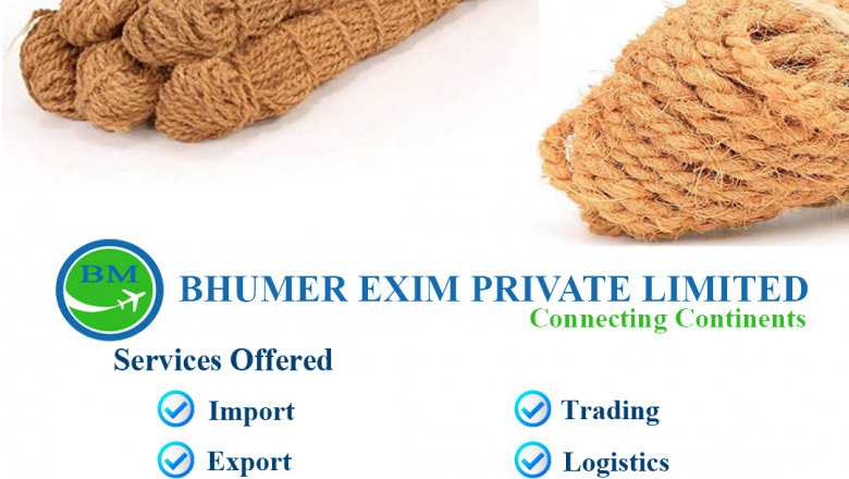 Fresh Vegetables Exporters in India