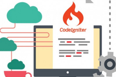 Hire Codeigniter Developer and Programmer for your next project | Chapter247 Infotech