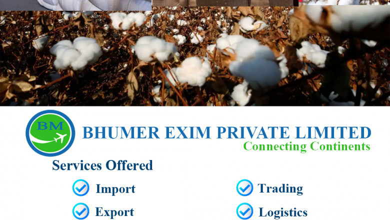 Sea food exporter in India