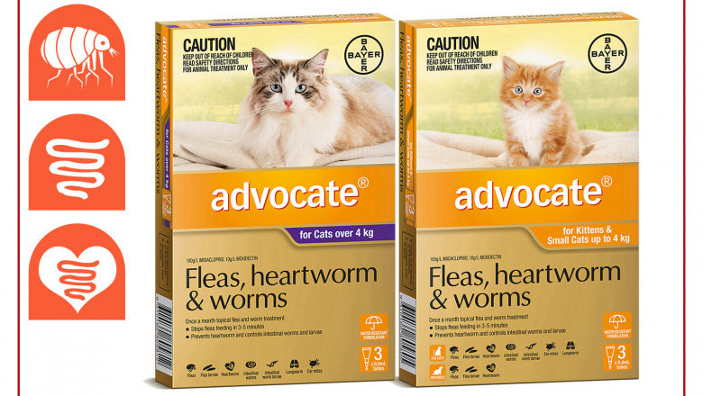 ADVOCATE- Flea, Heartworm & Worm Treatment for Cats