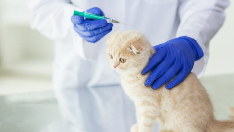 Animal Healthcare products like pharmaceuticals, feeds and vaccines are projected to grow at a rapid pace