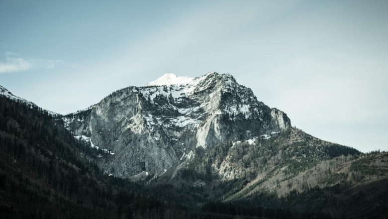 exactly how to work with an accounting professional for your local business