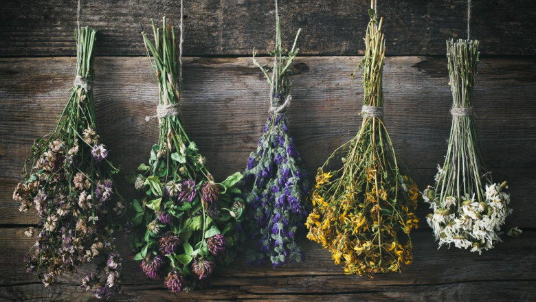 HOW LONG DO DRIED FLOWERS LAST?