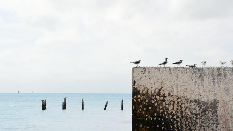 how to explain mplouzes to a fiveyearold