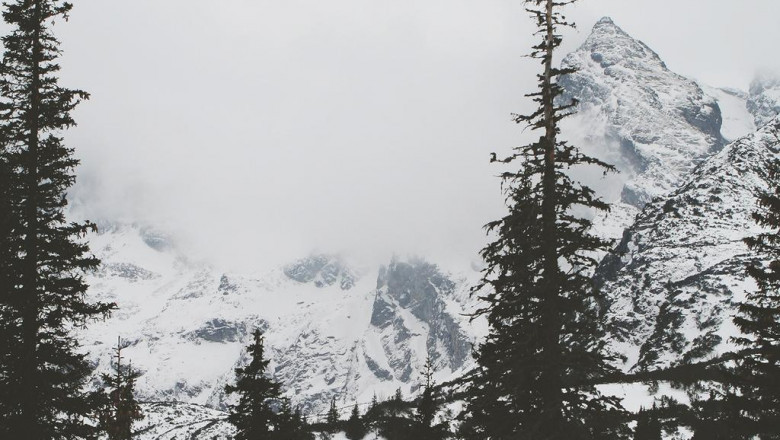 make web 20 job for your business