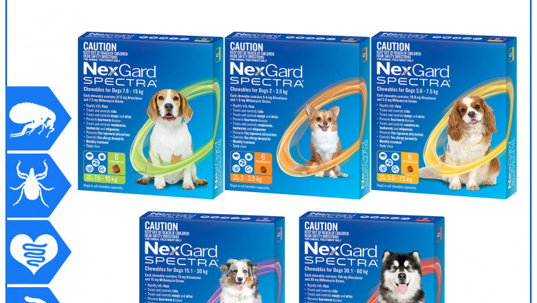 NEXGARD SPECTRA Prevent and Treat Fleas, Tick and Worms in Dogs