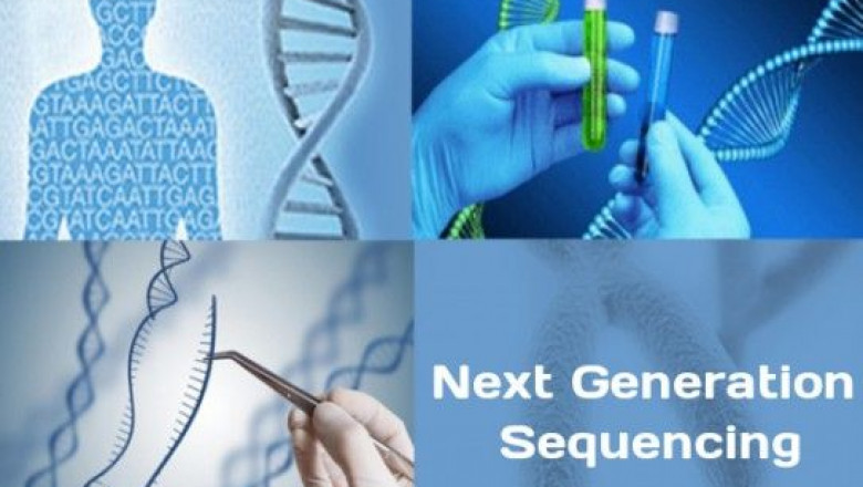 The Order Of Nucleotides Throughout The Genome Can Be Determined Using Next Generation Sequencing