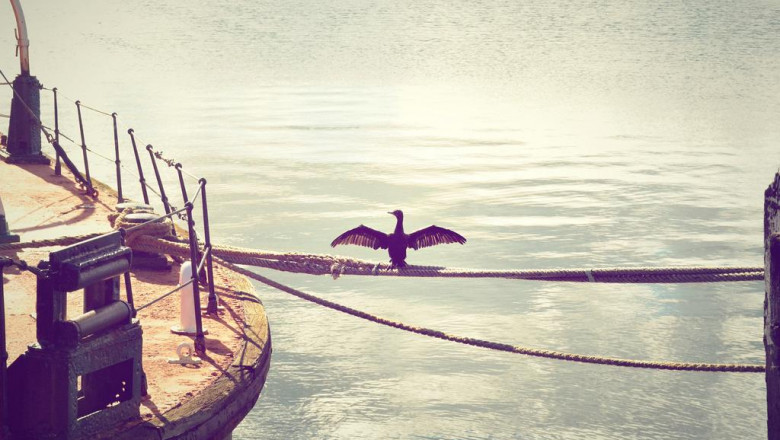 15 weird hobbies thatll make you better at brampton best immigration lawyer