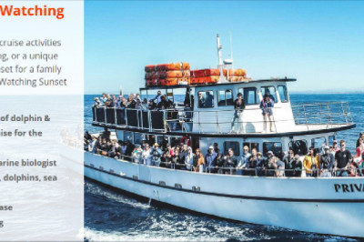 Are you sure with the best whale watching tours in San Diego?