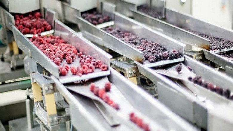 Food Processing and Handling Equipment Market | Exhibit a Huge Growth by Profiling Major Companies