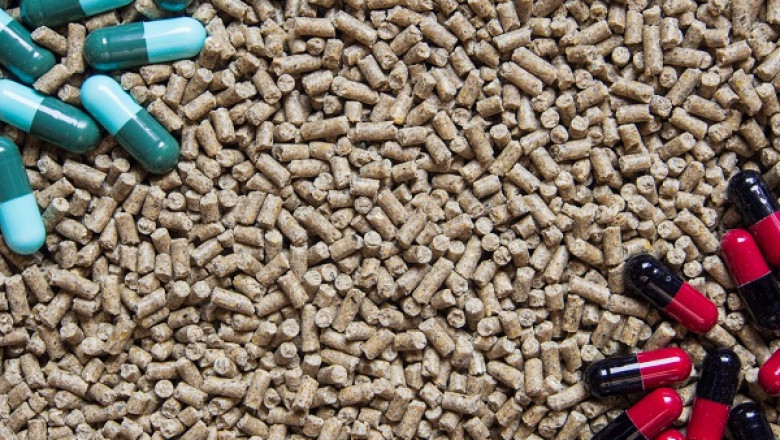 Global Feed Probiotics Market is Projected to reach USD 93.49 billion by 2028 at a CAGR 8.7%