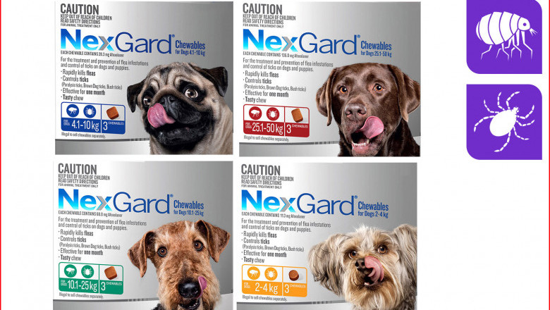 NexGard-The Flea and Tick Protection for Dogs