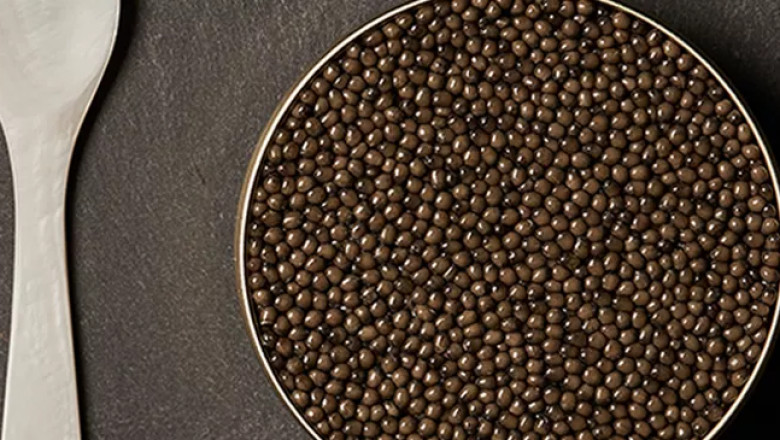3 Must-know reasons to choose Russian Caviar