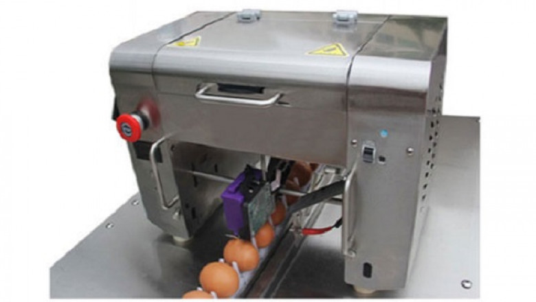 Global Egg Printing Machine Market Size is Projected to grow at a CAGR of 6.30%