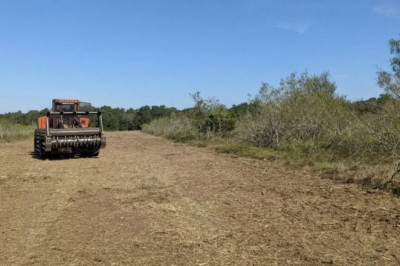 How Much Does It Cost To Clear Land?