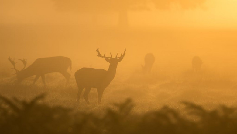 15 mas habilidades subestimadas que lo convertiran en una estrella de roca en la industria de disisores auticos