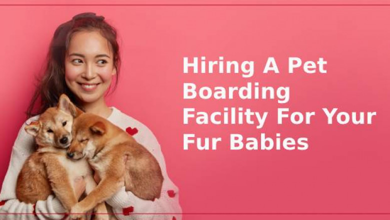 6 Things To Consider Before Hiring A Pet Boarding Facility For Your Fur Babies