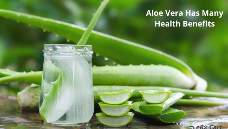 Aloe Vera Has Many Health Benefits