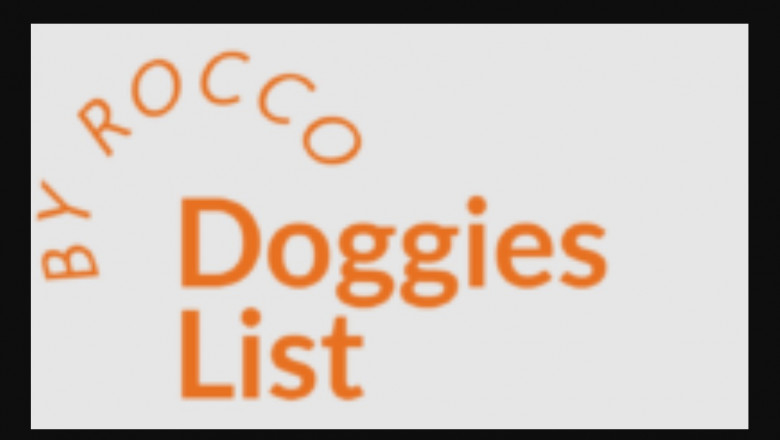 Everything about Dog Accessories
