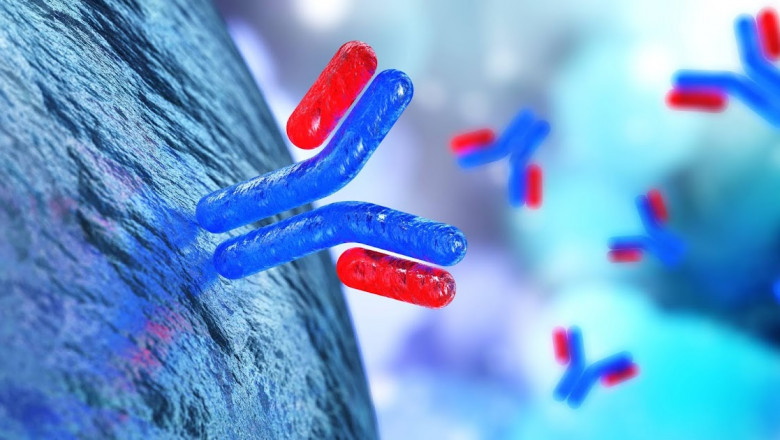 Immunoprotein Diagnostic Testing; Highly Effective In Rapid Detection of Chronic Diseases