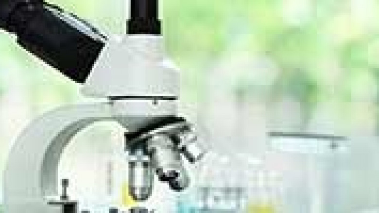 Digital Microscopy is The Latest Trend In The Microscopy Market