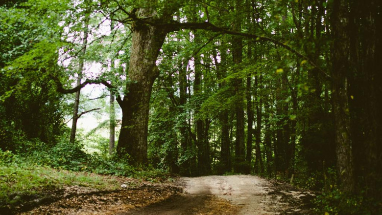 how much does a cpap maker expense with and also without insurance